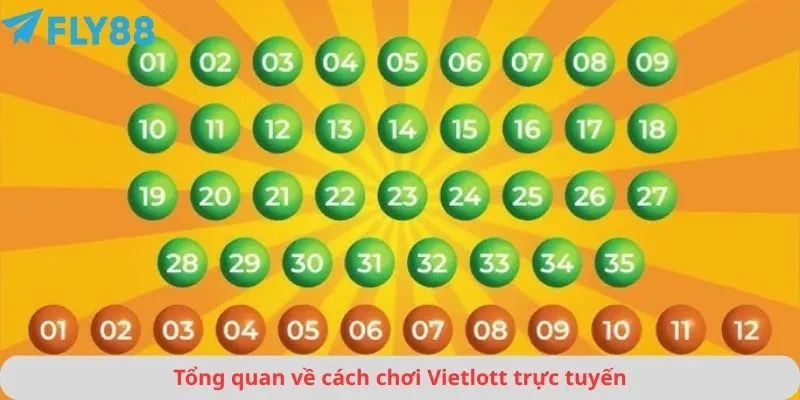 Cách Chơi Vietlott 2 Tổng quan về cách chơi Vietlott trực tuyến