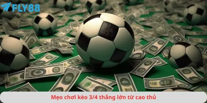Kèo 3/4 Là Gì 4 Mẹo chơi kèo 3/4 thắng lớn từ cao thủ